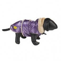 ROMA - obleček pro psa s límcem, 30cm